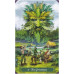 Карты Таро Зеленой Ведьмы - The Green Witch Tarot, Ann Moura. Llewellyn