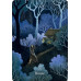 Карты Оракул Героиня сказки - The Fairy Tale Heroine Oracle. Hay House