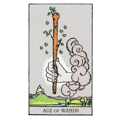 Карти Таро Райдера Уейта інтерактивна колода - Tarot of A.E. Waite iCards. AGM
