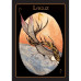 Карты Оракул Рунический – Rune Oracle. AGM Urania
