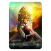Карти Оракул Божественних Тварин - Divine Animals Oracle. Rockpool