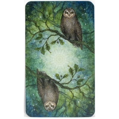 Карти Таро Зачарованого Лісу - Forest of Enchantment Tarot. Llewellyn