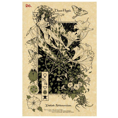 Карты Оракул Очаровательный ботанический оракул The Magickal Botanical Oracle