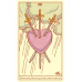 Карти Таро Ваше Перше Таро - Your First Tarot. Rockpool