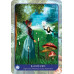 Карты Оракул Магических Измерений 2 Издание - Magical Dimensions Oracle - 2nd Edition
