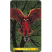 Карты Таро сов - Tarot of the Owls