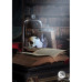 Карты Оракул Ночи Ленорман - De La Nuit Lenormand Deck. Lo Scarabeo