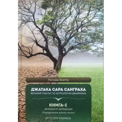 Джатака Сара Санграха. Книга 1. Аюрдая и аюрдаши. Определение длины жизни. Раджеш Гуру