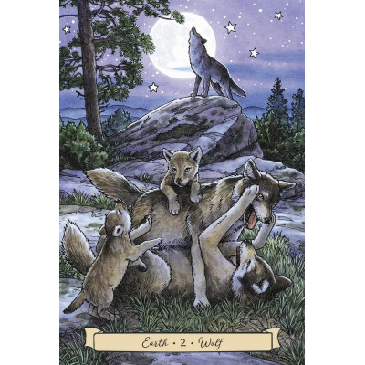 Карты Оракул Повседневные ведьмы-помощники - Everyday Witch's Familiars Oracle