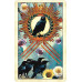 Карти таро Вороняче - Crow Tarot U.S.G.