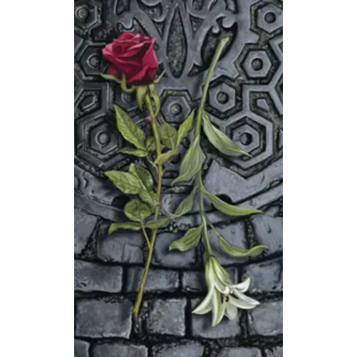 Карты Таро вампиров - Tarot of the Vampires
