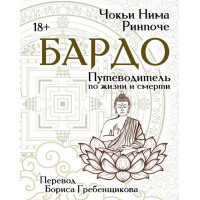 Книга Бардо. Путеводитель по жизни и смерти. Чокьи Ринпоче
