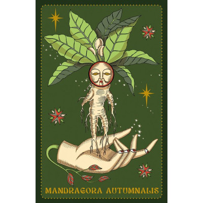 Карты Оракул Гербария - Herbarium Oracle Cards. Lo Scarabeo