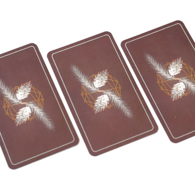 Карти Таро Тихоокеанського Північного Заходу (The Pacific Northwest Tarot) od-30486