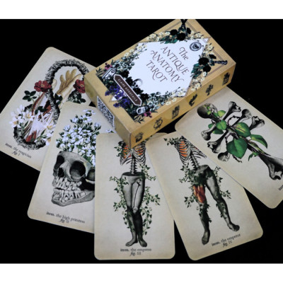 Карти Таро Античної Анатомії (Antique Anatomy Tarot) od-30548