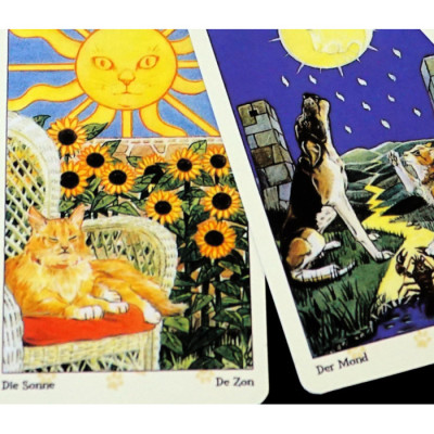 Карты Таро Языческих кошек (Tarot of Pagan Cats) od-30608