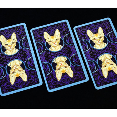 Карты Таро Языческих кошек (Tarot of Pagan Cats) od-30608