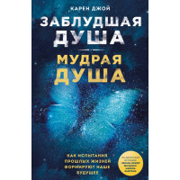Книга Заблудла душа - мудра душа. Як випробування минулих життів формують наше майбутнє Карен Джой