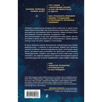 Книга Заблудла душа - мудра душа. Як випробування минулих життів формують наше майбутнє Карен Джой