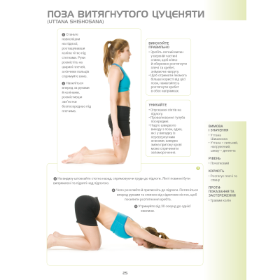 Книга Анатомія йоги. Ілюстрований посібник Ебіґейл Еллсворт