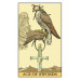 Карти Таро  Наслідків міні формат - After Mini Tarot. Lo Scarabeo