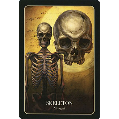 Карти Оракул Хеллоуїна - The Halloween Oracle Cards. Blue Angel