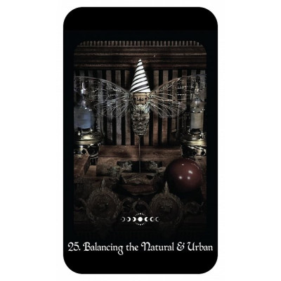 Карти Оракул Відьми Готичний - Gothic Witch's Oracle. Crossed Crow Books