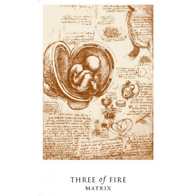 Таро Загадка да Вінчі - The Da Vinci Enigma Tarot Book Set. Schiffer Publishing