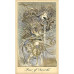 Карти Таро Примар та Духів - Ghosts and Spirits Tarot. U. S. Games Systems