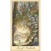 Карти Таро Примар та Духів - Ghosts and Spirits Tarot. U. S. Games Systems
