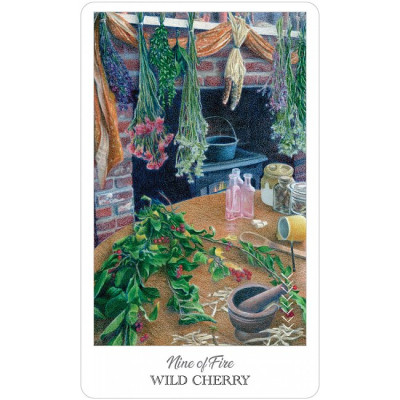 Карти Таро Травника - The Herbcrafter's Tarot. U.S. Games Systems