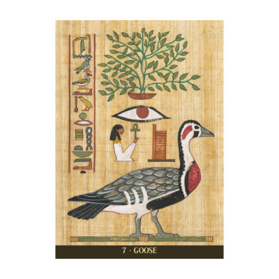 Карти Оракул Священних Тварин Єгипту - Egyptian Sacred Animals Oracle. Lo Scarabeo