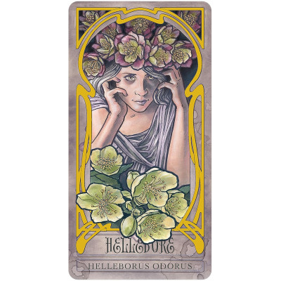 Карти Оракул Злого сада леді Стірлінг - Lady Stirling's Wicked Garden Oracle. U. S. GAMES SYSTEMS