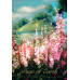 Карти Таро Українське: Квітка Чарівної Папороті - The Ukrainian Tarot: Flower of the Magic Fern. REDfeather