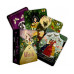 Карти Оракул Пора року відьми Літи - Seasons of the Witch. Litha Oracle. Rockpool Publishing