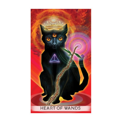 Карти Таро Єдиної Свідомості – The Unifying Consciousness Tarot. Schiffer Publishing