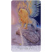 Карти Таро Припливів Пригоди качки на ім'я Боб - Tarot of Tides: The Adventures of a Duck Named Bob