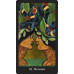 Карти Таро Жінка візіонер - Visionary Woman Tarot Weiser Books