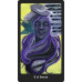 Карти Таро Жінка візіонер - Visionary Woman Tarot Weiser Books