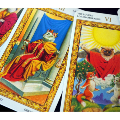 Карти Таро Білих Котів (Tarot of White Cats)